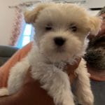 cf60910f-c8d8-4999-85b5-6b27909a857f/facility/5f02ffa3-0c9e-4fb8-8131-bdb2979d2af7