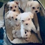 cf60910f-c8d8-4999-85b5-6b27909a857f/facility/804f4df0-b234-458e-b96c-6f4f8277ac17