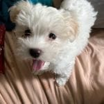 cf60910f-c8d8-4999-85b5-6b27909a857f/facility/8a027060-ff17-4fa8-bd43-2f5633f46d83