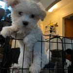 cf60910f-c8d8-4999-85b5-6b27909a857f/facility/aa8f245e-7884-448c-af12-f632df25c907