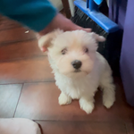 cf60910f-c8d8-4999-85b5-6b27909a857f/facility/e455bf7c-d439-45d4-98a5-09b1dfa5f01e