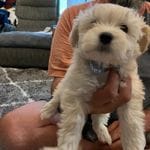 cf60910f-c8d8-4999-85b5-6b27909a857f/facility/e51f4240-d5ec-43e1-abfa-a5287868d9c2