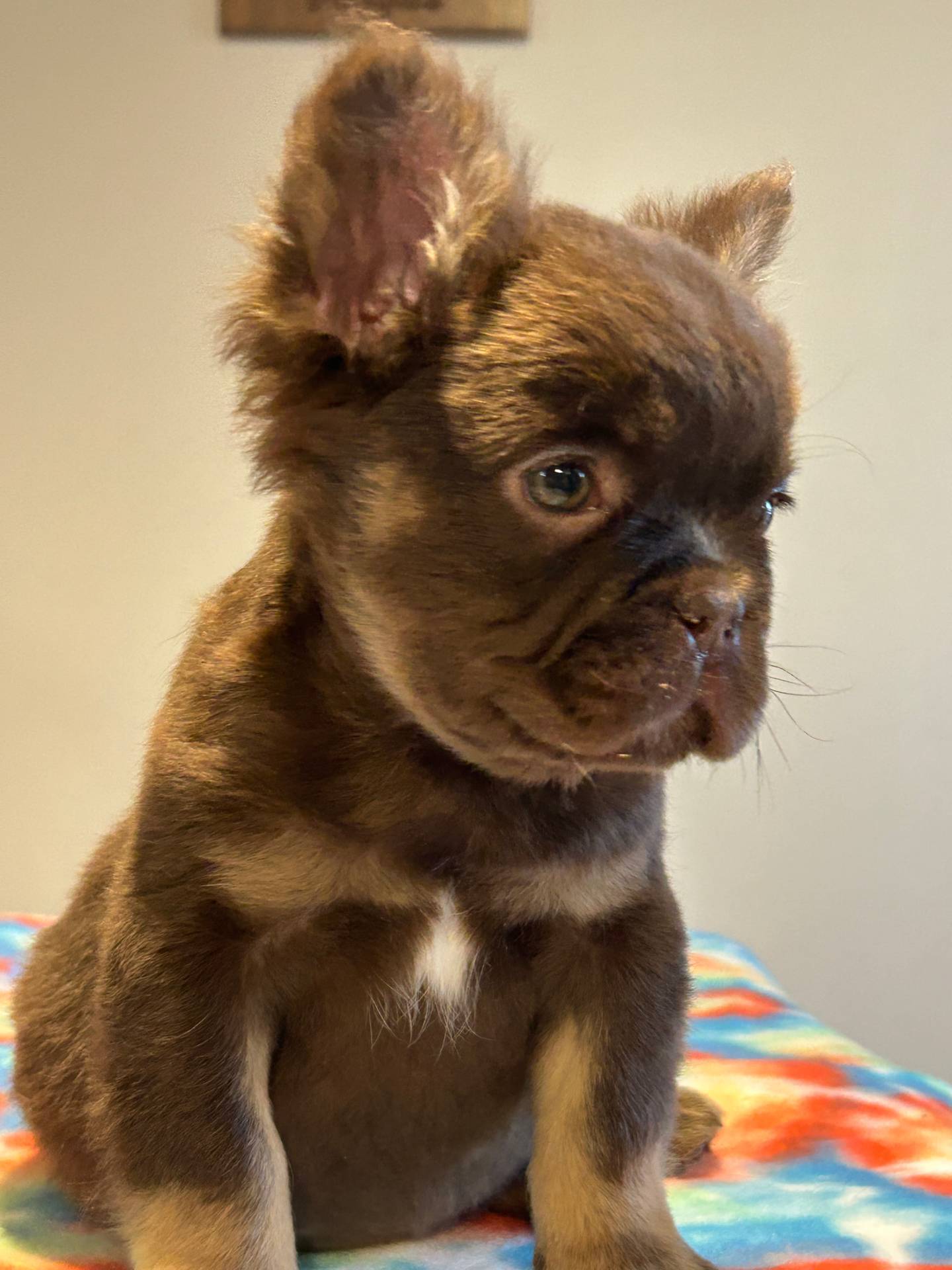 d05192c9-9749-490c-ad9a-69c5fe3af39b/facility/90ca1ce0-24f4-4211-be3e-3e62a338b877