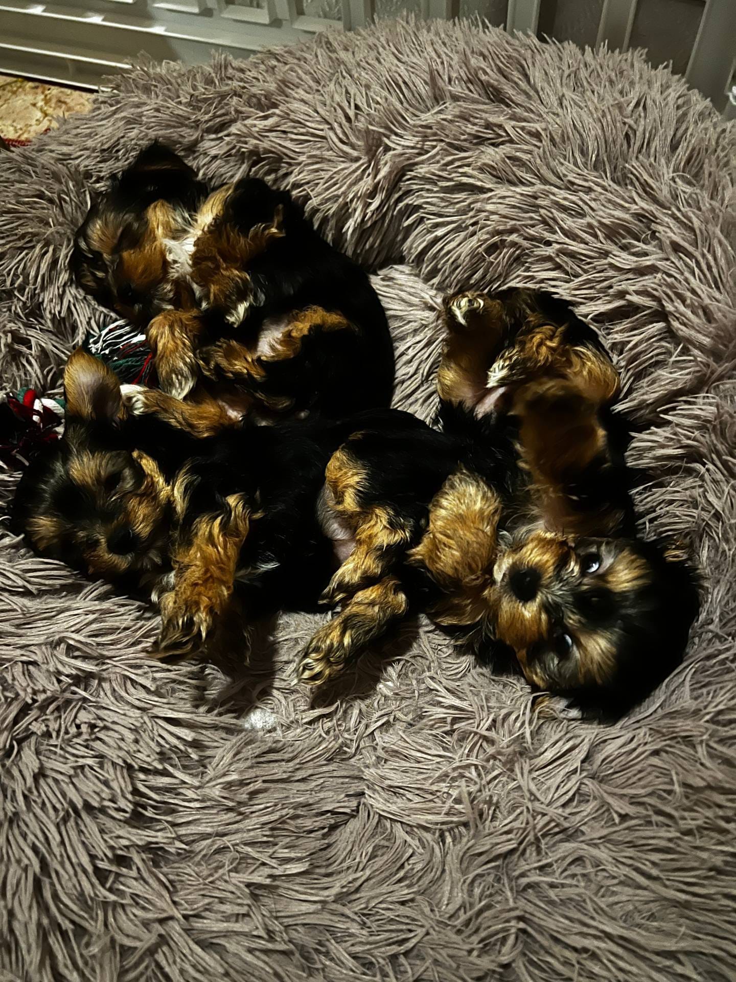 d0f8dc31-b569-4a92-b29b-a27dee4d845c/facility/b660a1bc-e435-4258-ac86-e7e3615125f2