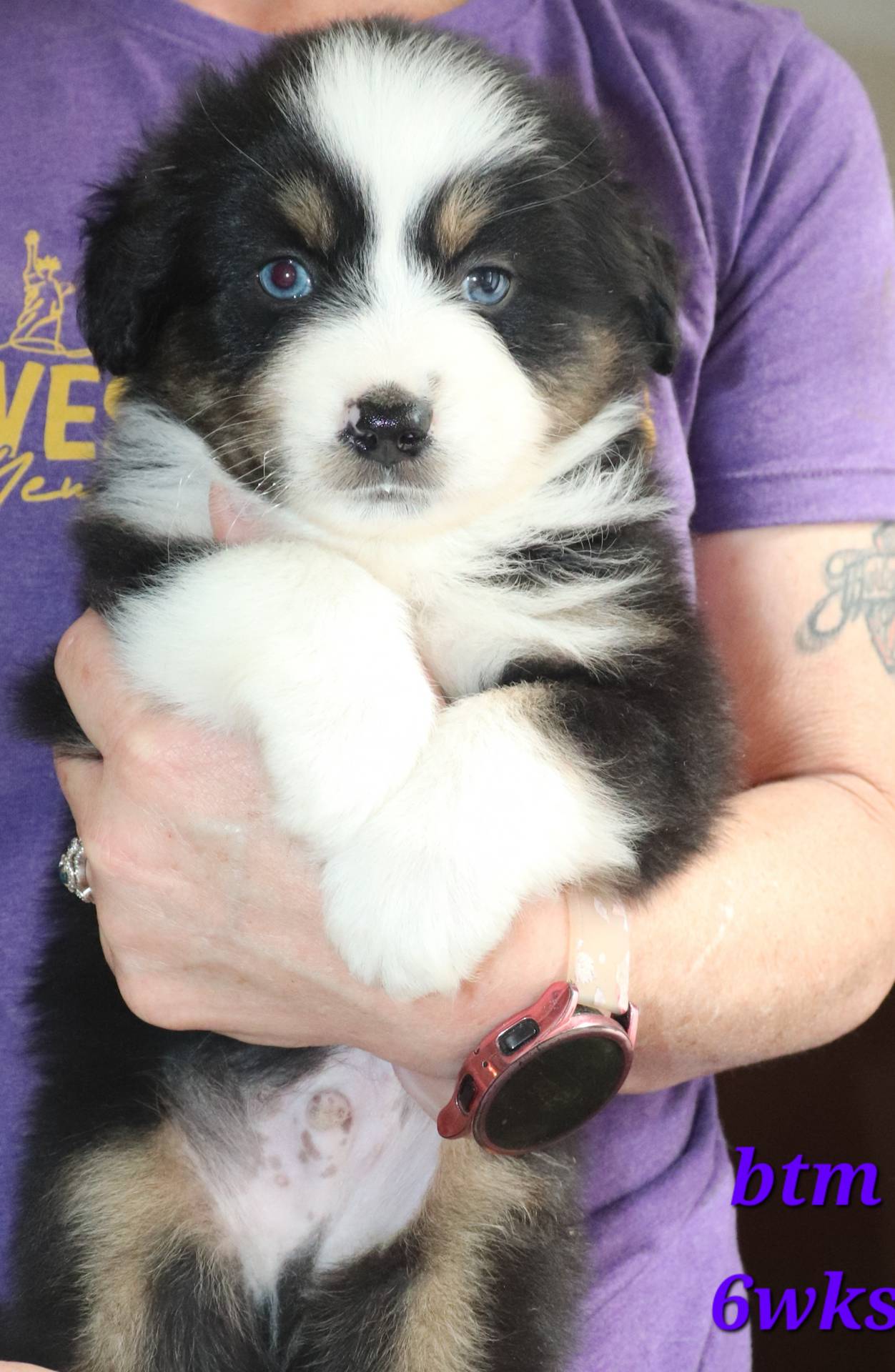 d1be9e9a-dd2e-45c1-83b3-58cad15008c4/listing/0b4f30a6-63d5-4ef8-a028-ee7b236eaf60/52cf1343-bca9-4a8f-a760-57ca9fb86aca