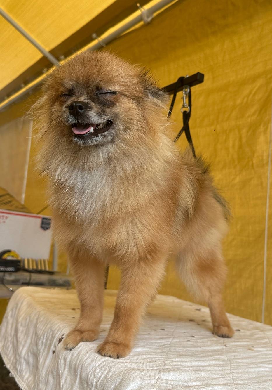 d40a3093-de9f-4f42-88ea-61b8744aed7f/listing/8fcc0802-b431-4226-b8fc-1e6143224671/aae12241-81f8-4527-95a3-1b4cb2fa6692