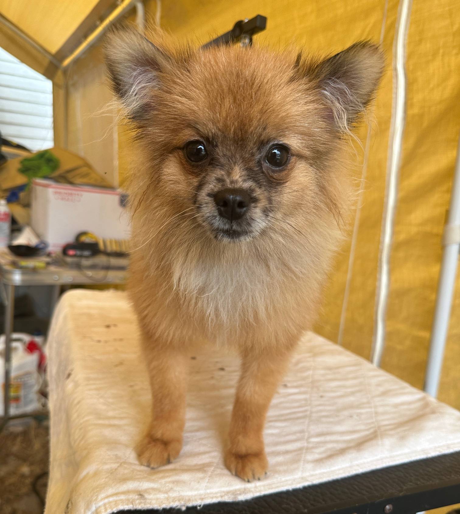 d40a3093-de9f-4f42-88ea-61b8744aed7f/listing/8fcc0802-b431-4226-b8fc-1e6143224671/d6b7d991-b16e-4bd1-84ef-165405234939