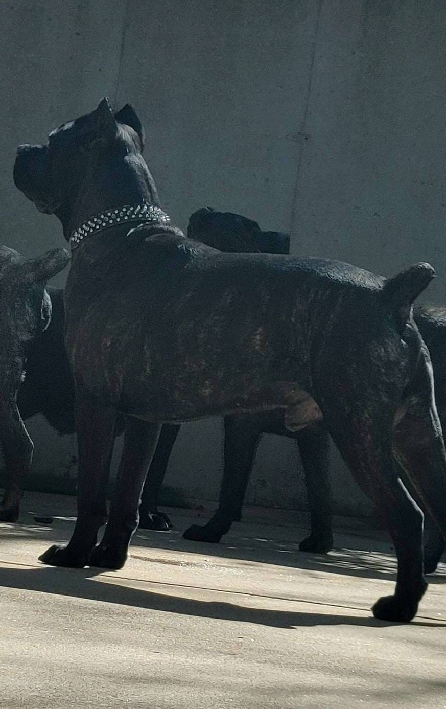 d7625c68-099c-4ba1-a68f-49f33f95612e/facility/21e066e1-b093-442f-b695-cc89b49ca250