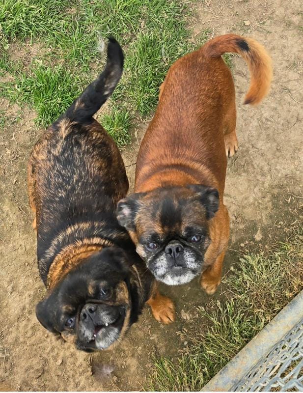 Cranberry and Vernie