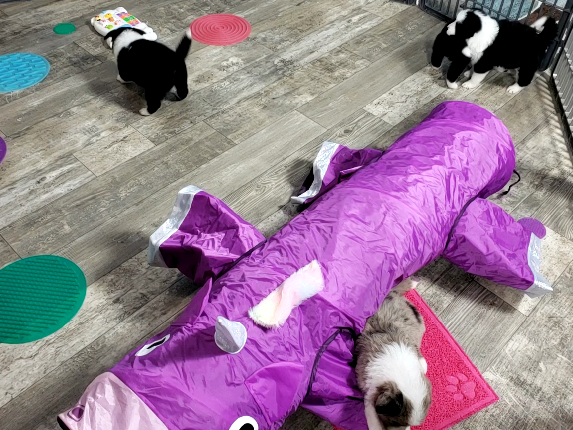 d88d19c5-c1b5-4e2c-baef-1a3b1bf32465/facility/39e862fc-f50a-401e-8e77-0392e43aa6e2