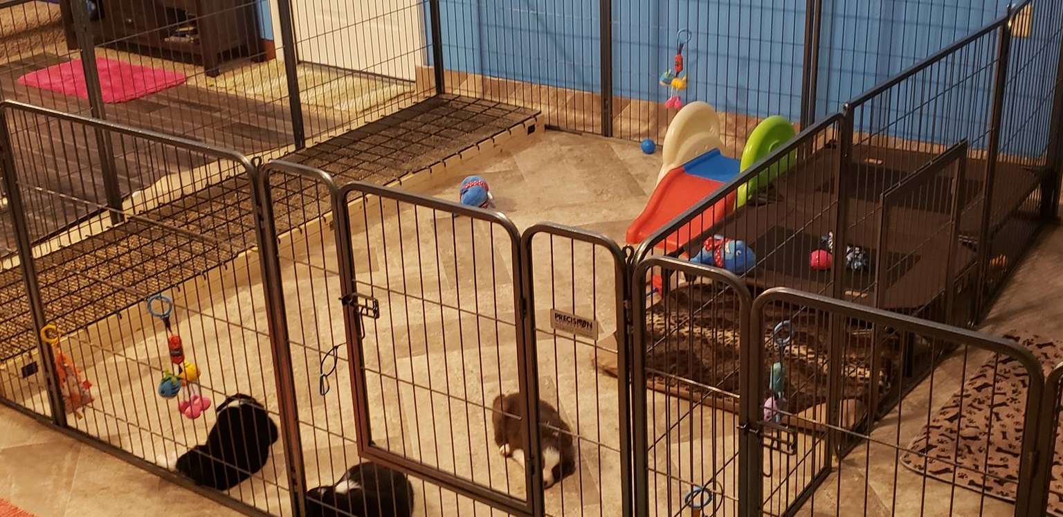 d88d19c5-c1b5-4e2c-baef-1a3b1bf32465/facility/870a85df-d579-4228-a7ee-503f8b65dd71