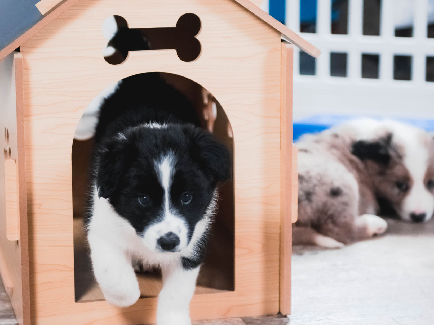 d88d19c5-c1b5-4e2c-baef-1a3b1bf32465/facility/b0da4ff7-d99a-40e1-979f-e29802358523