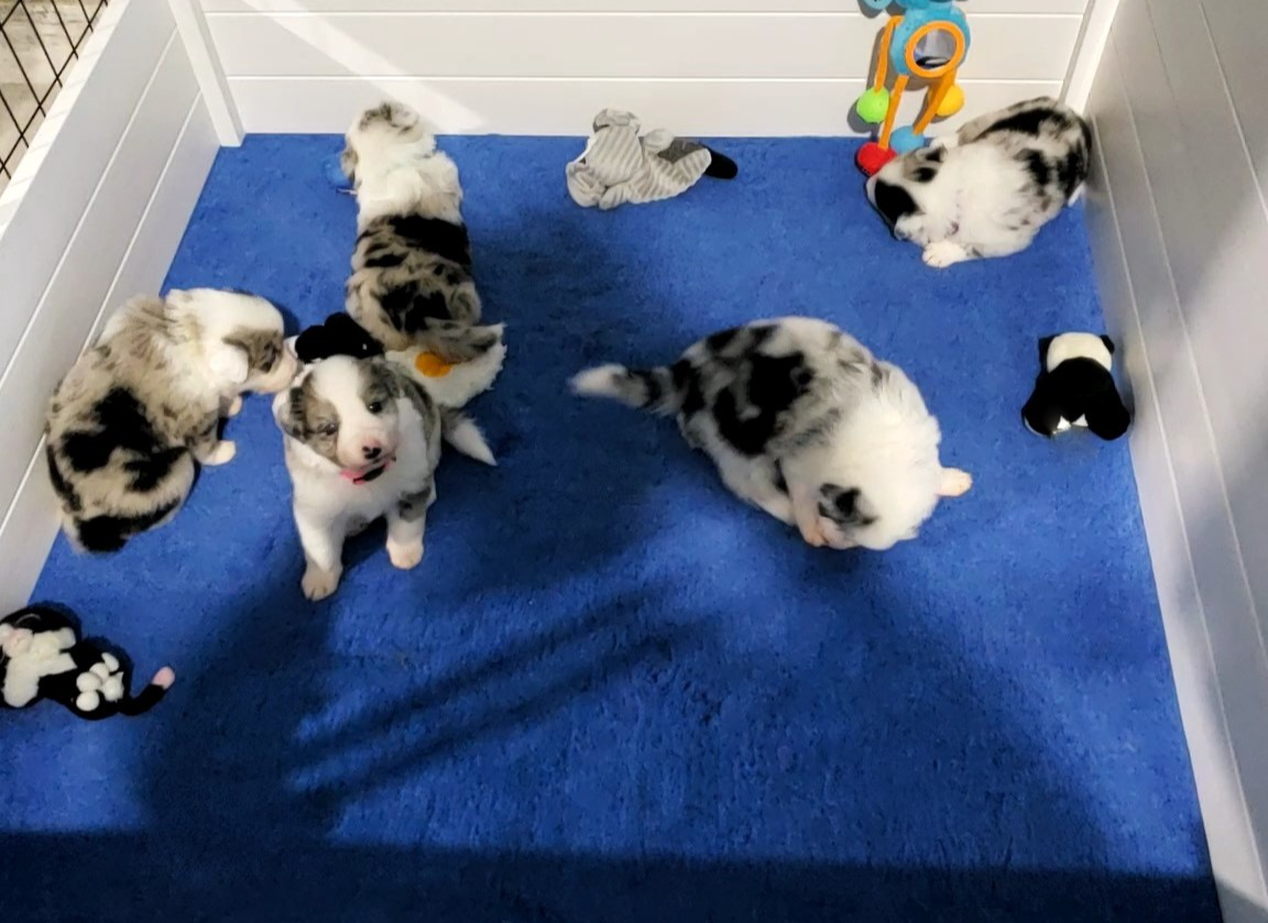 d88d19c5-c1b5-4e2c-baef-1a3b1bf32465/facility/b5a6f5cd-ce90-4bd5-be68-3f0fec11a157