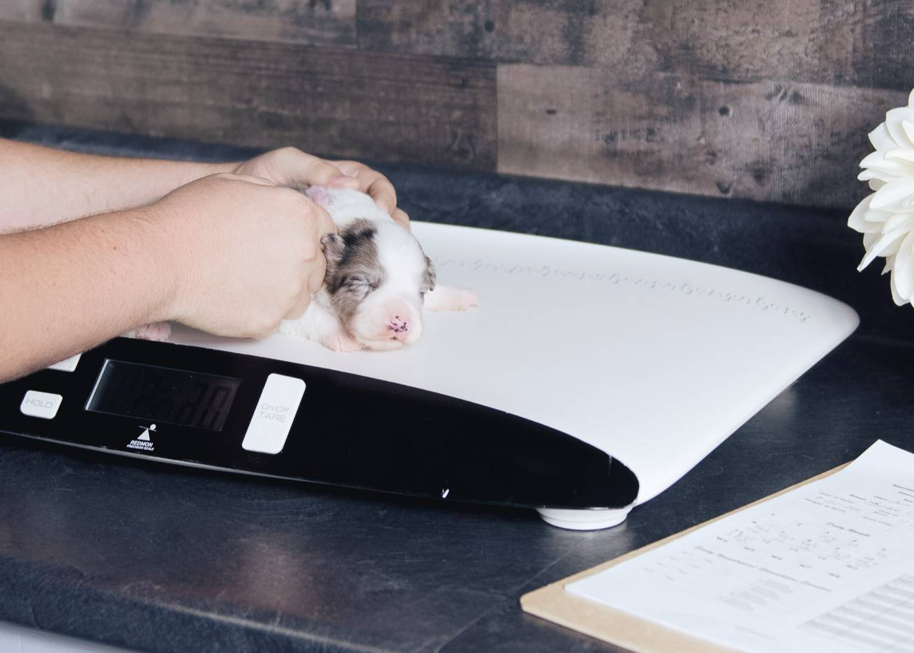 d88d19c5-c1b5-4e2c-baef-1a3b1bf32465/facility/ce8c5bce-017a-4688-885a-305d25fd1d25