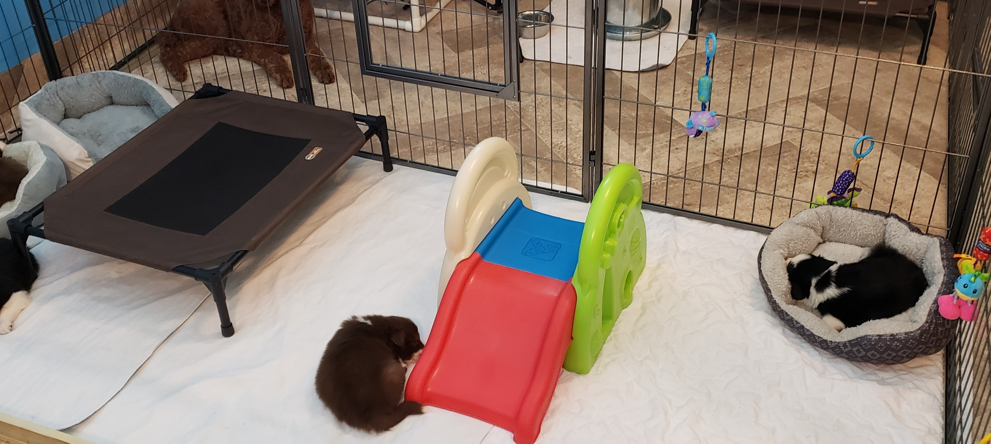 d88d19c5-c1b5-4e2c-baef-1a3b1bf32465/facility/e2582405-d286-4cc5-8793-59dd5c8e3e9d