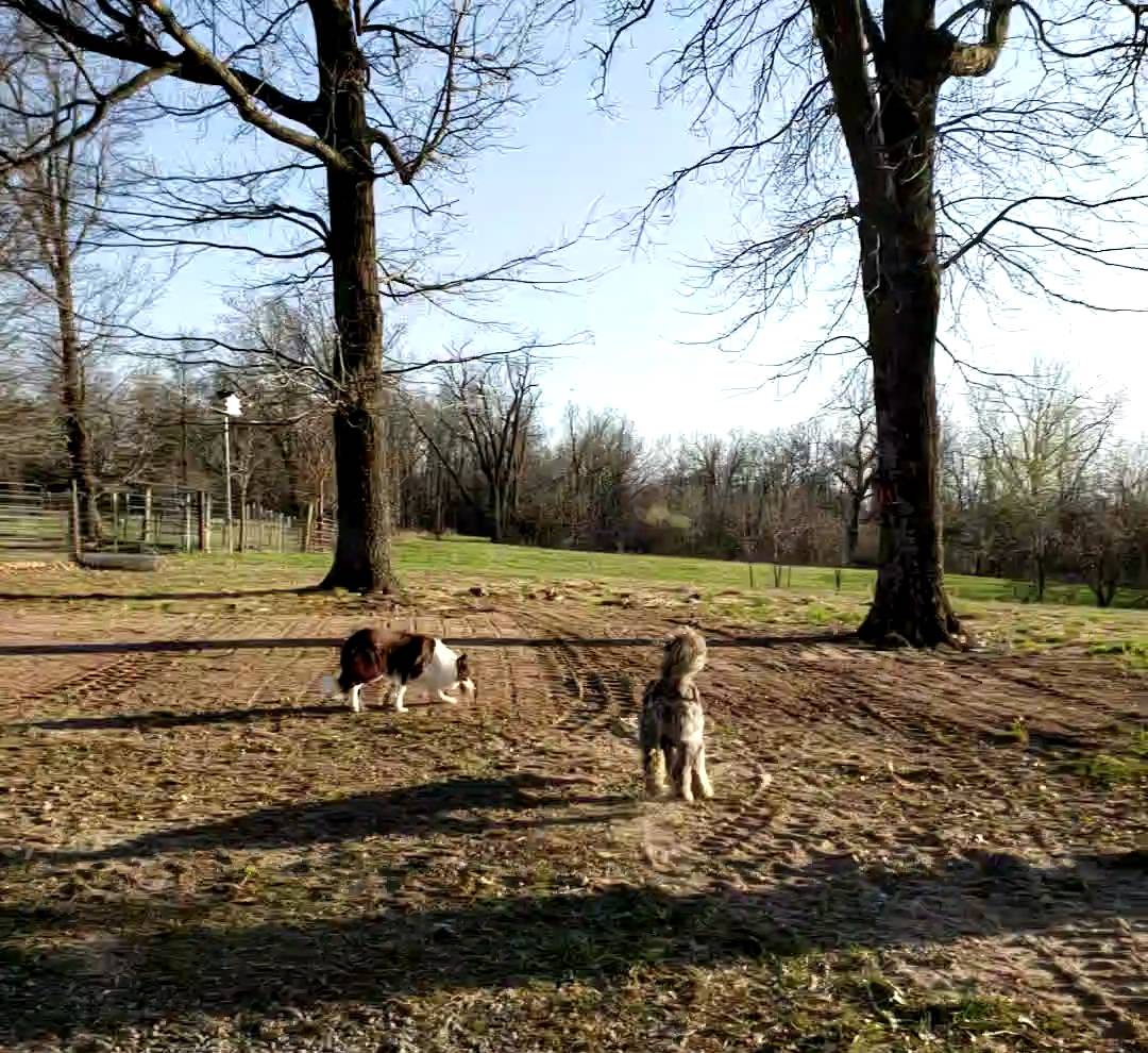 d88d19c5-c1b5-4e2c-baef-1a3b1bf32465/listing/4ce1c8e1-ae38-4092-b7e4-9a731b81db19/06440710-ac84-4d12-8f35-d4880f9f8591