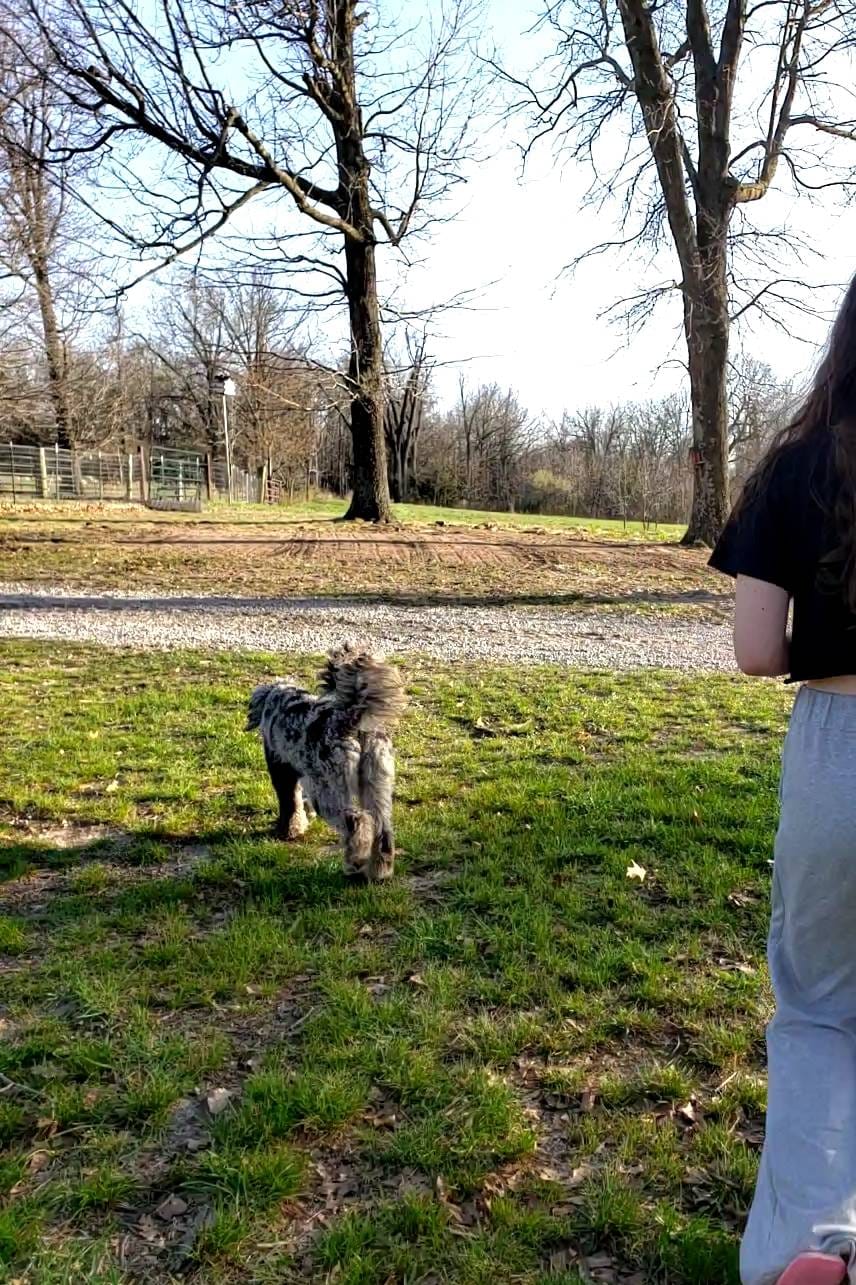 d88d19c5-c1b5-4e2c-baef-1a3b1bf32465/listing/dd58be60-5abd-4cfd-8a31-cb33dc256309/c2cc4a98-6161-49af-a5bc-019f9fe49b24