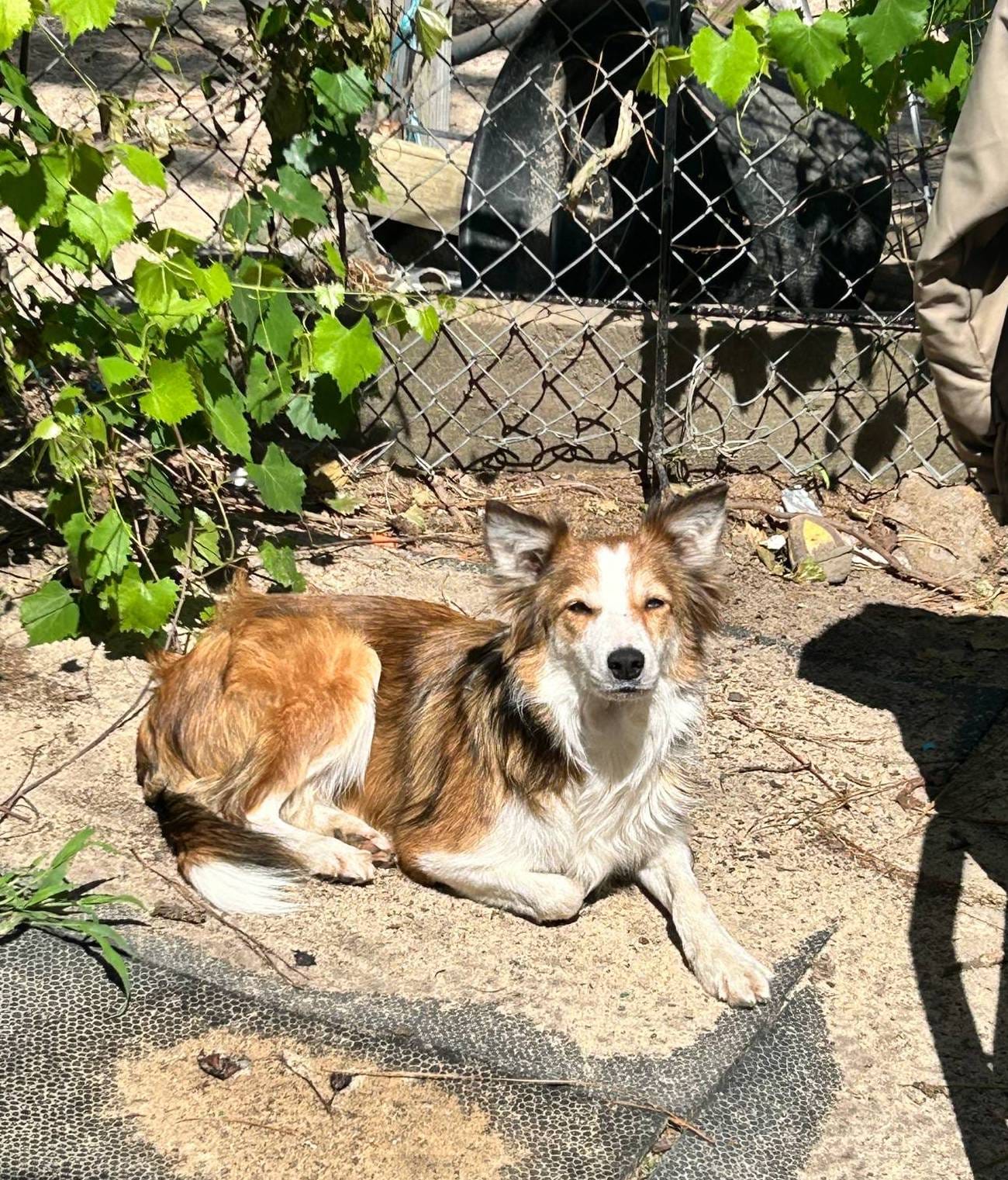 d8c5a45d-9499-4f1c-b102-2b7a7618b096/facility/07f027cc-6329-4b11-a1a5-86a1fb52221e