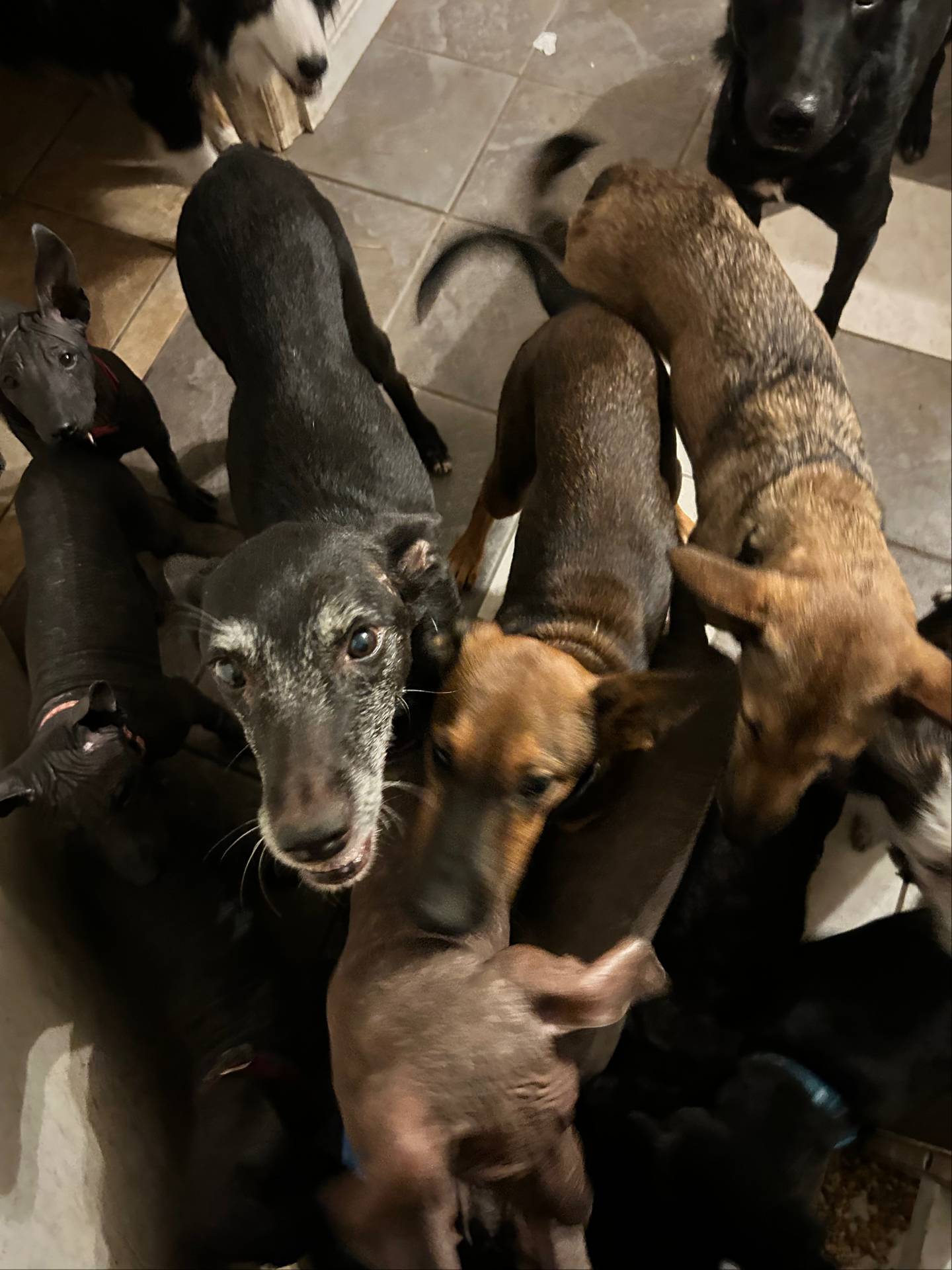 d8c5a45d-9499-4f1c-b102-2b7a7618b096/facility/45c50a2a-1dbb-48a2-8b20-91f32137f7be