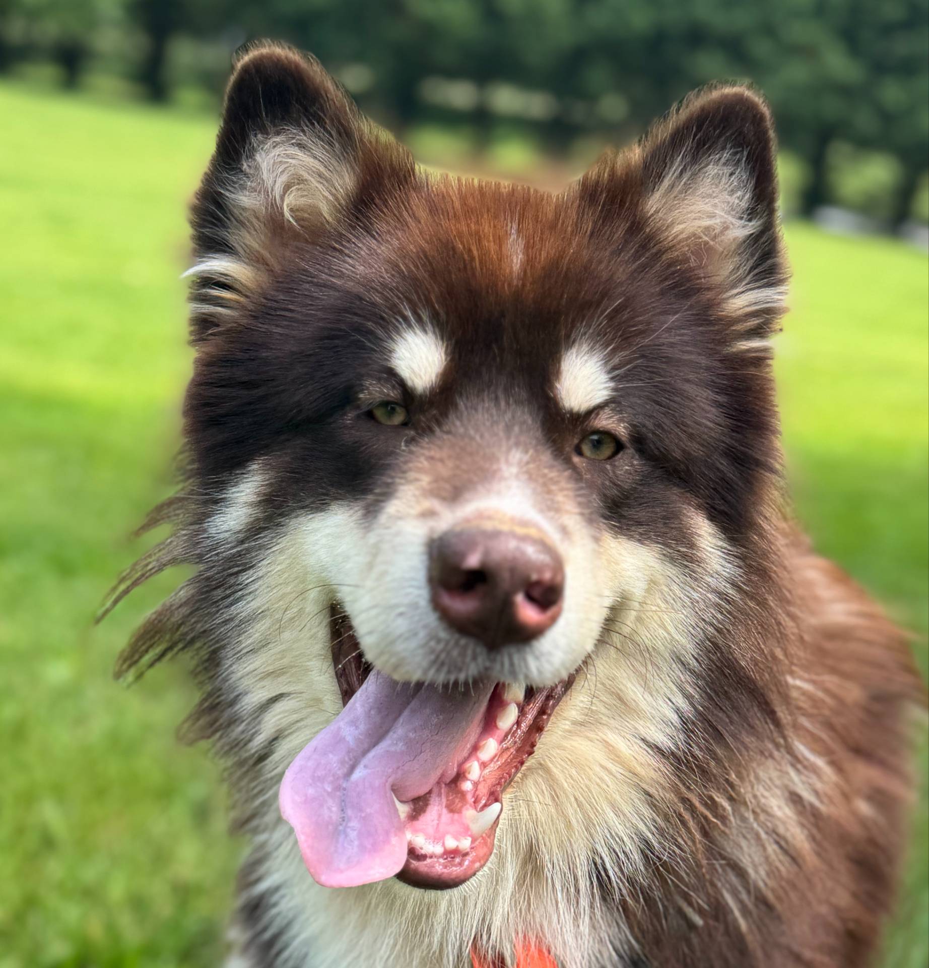 d943a1b5-8e22-4193-8707-4e4be5bdd298/listing/710f690f-7bb6-40fe-80a4-6bfb6fa4fade/d6d9a466-df44-4c5f-bbe7-0abadde9c87e