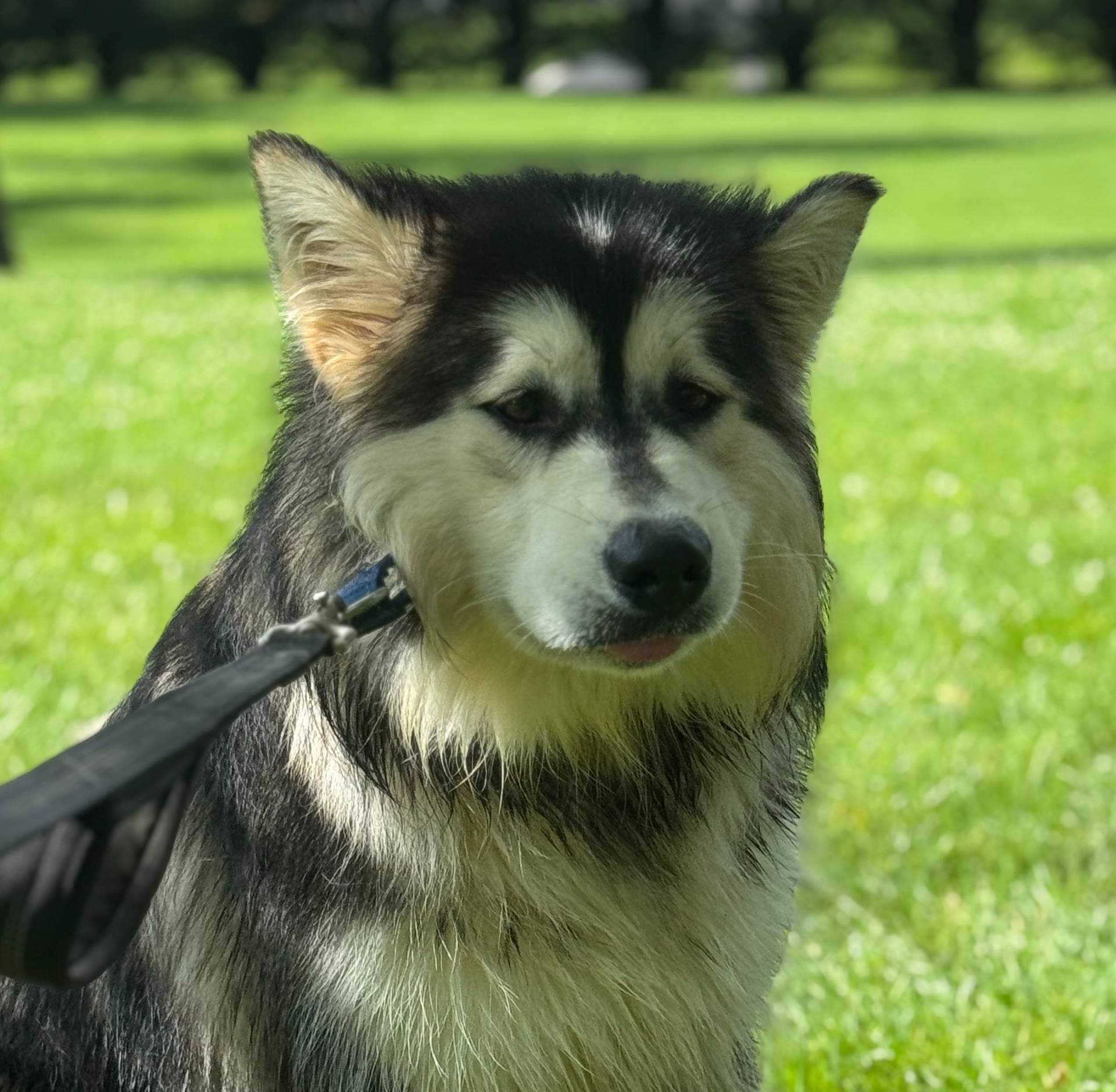 d943a1b5-8e22-4193-8707-4e4be5bdd298/listing/b49ac1fa-3161-4dc9-81ed-033ac3bc5663/6110520b-38f5-4c49-930f-533cc4e5e2e0