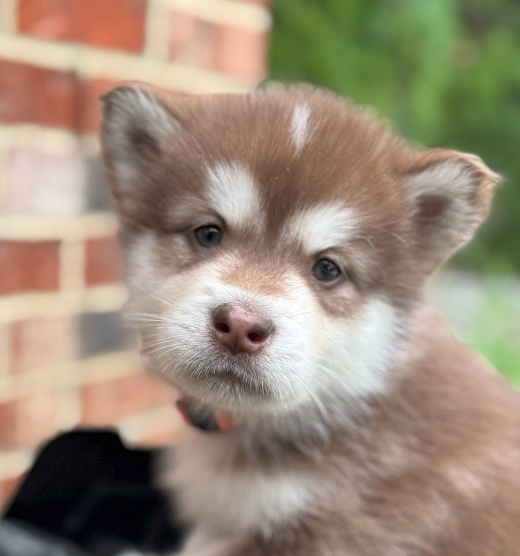 d943a1b5-8e22-4193-8707-4e4be5bdd298/listing/d124f72f-0bf5-4462-a445-5d0b054b42b7/17903db8-9f72-4e91-969d-b0e703bd1ea2