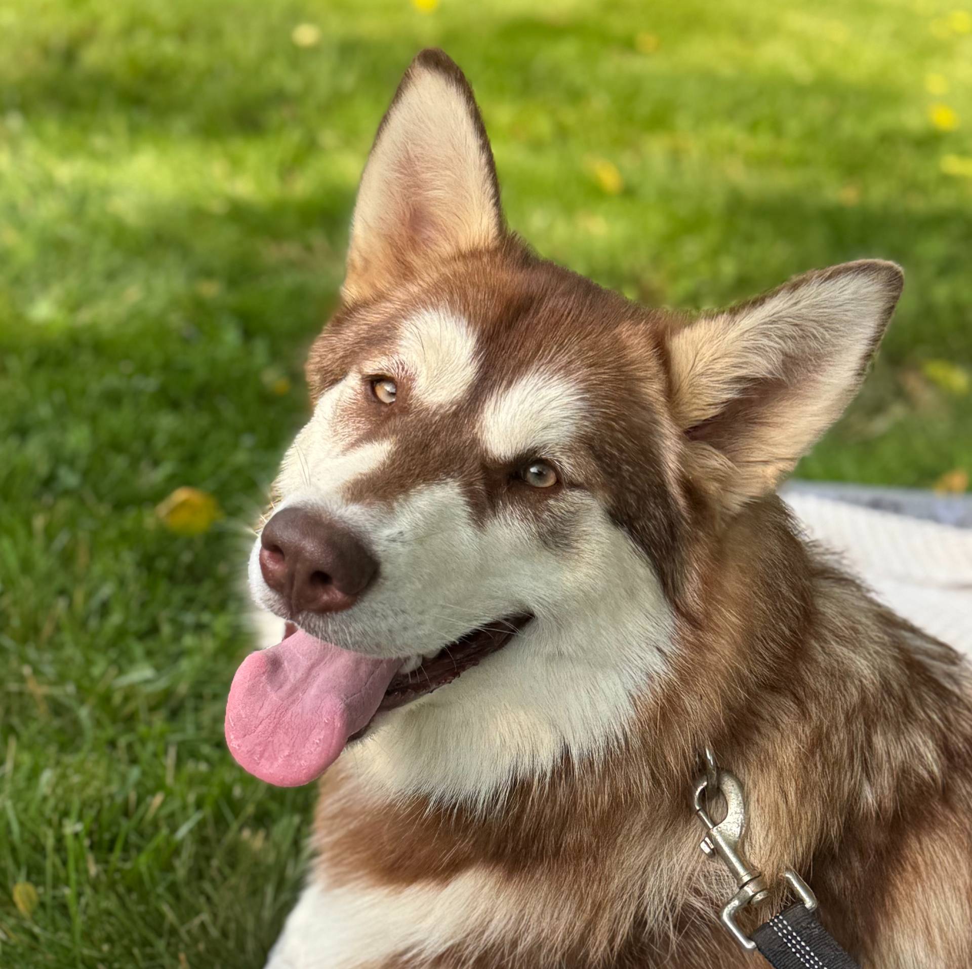 d943a1b5-8e22-4193-8707-4e4be5bdd298/listing/d2417fbe-15bd-4406-9f9e-cdbb1e2ca0ab/c0a9eaf4-1824-442b-bfb0-4a803c142cb1