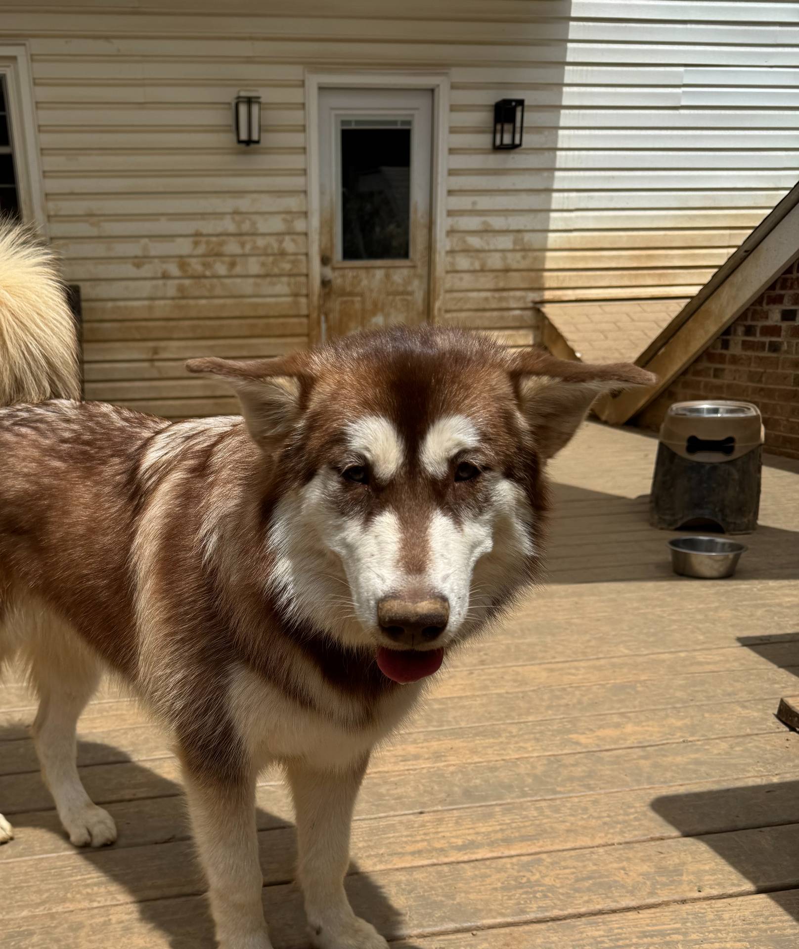 d943a1b5-8e22-4193-8707-4e4be5bdd298/listing/d2417fbe-15bd-4406-9f9e-cdbb1e2ca0ab/fd10575f-36bd-48e0-be94-a0841a809272