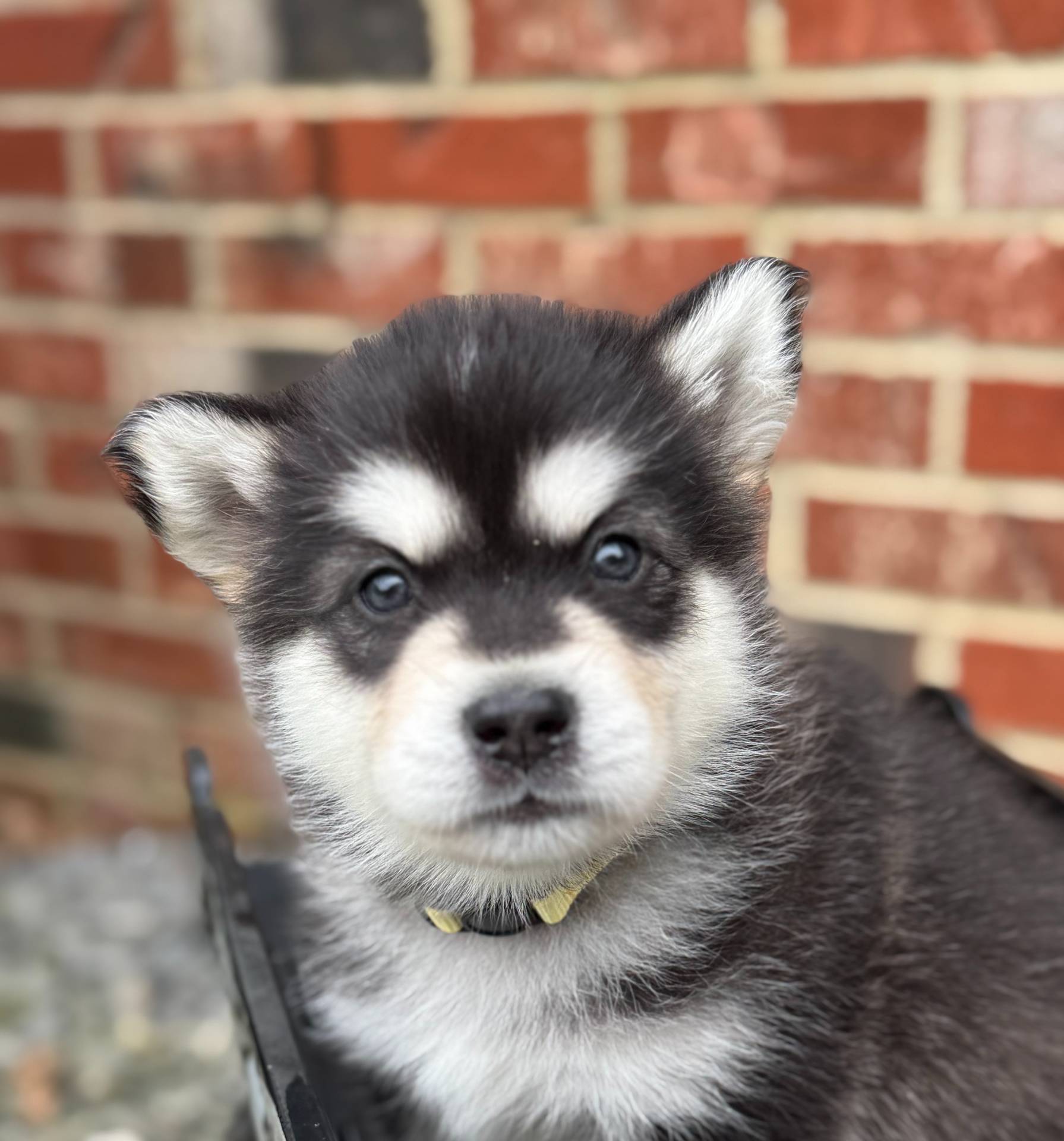 d943a1b5-8e22-4193-8707-4e4be5bdd298/listing/f66f8102-d1d8-46a1-9cf0-b24a8ea7dbda/f9133e3b-5d8a-4bcb-a974-09659d42ef44