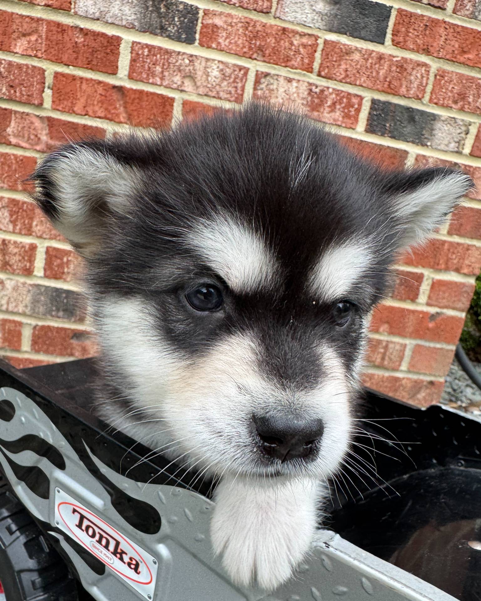 d943a1b5-8e22-4193-8707-4e4be5bdd298/listing/f66f8102-d1d8-46a1-9cf0-b24a8ea7dbda/ffcc267e-b6f1-4d2d-a7e9-9f7ed24081b0