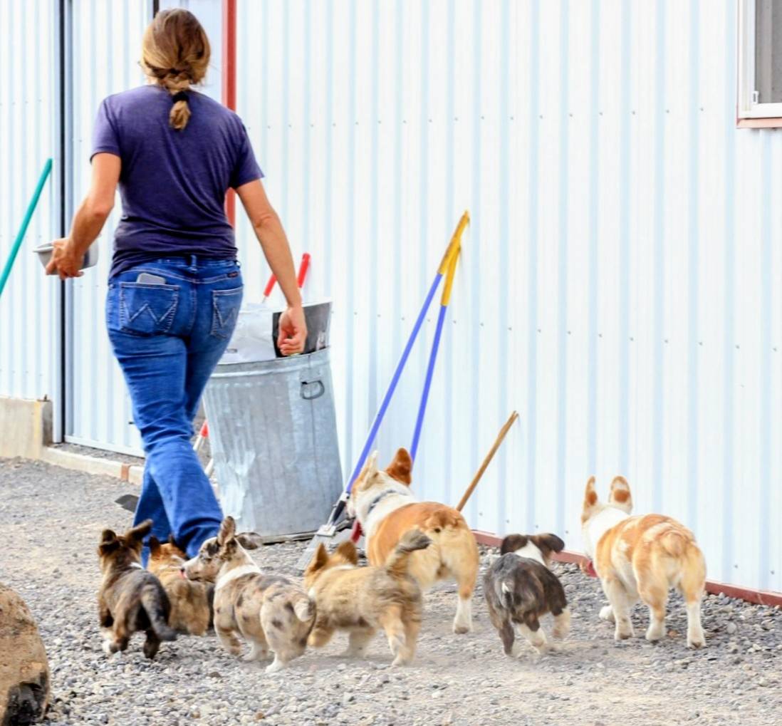 dab21bc1-92b6-4c4c-b275-26e3618ede5a/facility/0e852847-fc3a-414e-a82f-cb943e2a69b7