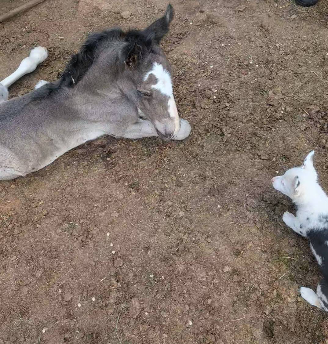 dab21bc1-92b6-4c4c-b275-26e3618ede5a/facility/4e017073-cc16-4676-8a1f-58b3b9ecaae9