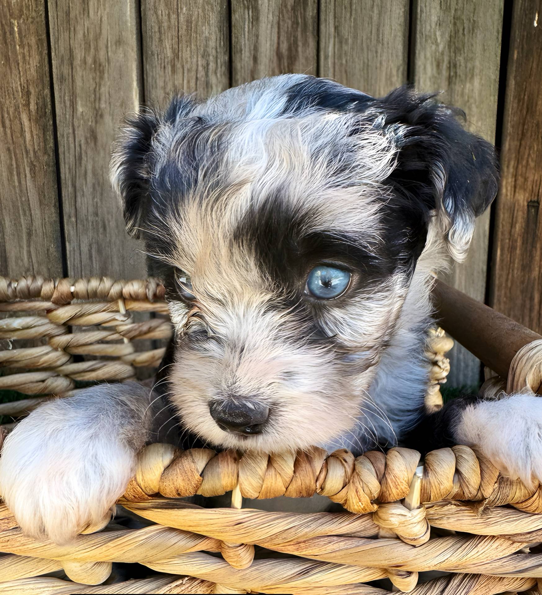 dfaf2acb-ab2e-4dd5-8fcd-0cdcebeb805b/facility/2eabe769-3d1a-4d9e-825b-378ef45c50aa