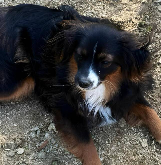 dfaf2acb-ab2e-4dd5-8fcd-0cdcebeb805b/facility/55f8920c-d3d7-4315-a93c-083880c83582