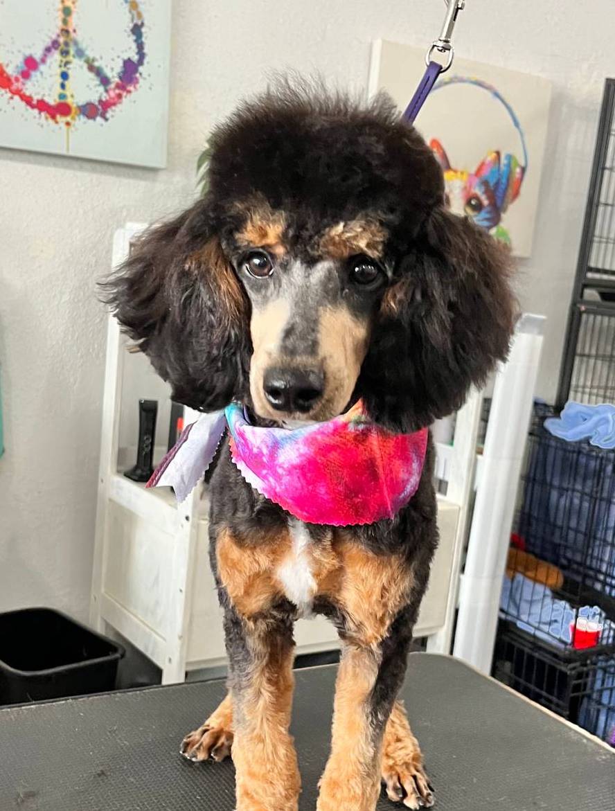 dfaf2acb-ab2e-4dd5-8fcd-0cdcebeb805b/facility/ab766750-4716-4eeb-81e7-fb67bfd8d5d9