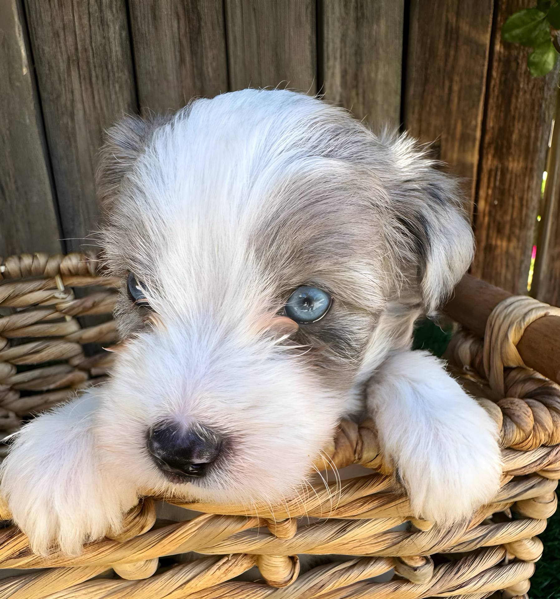 dfaf2acb-ab2e-4dd5-8fcd-0cdcebeb805b/facility/c1af5536-a507-4d6c-8672-e85157295bf3