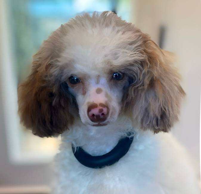 dfaf2acb-ab2e-4dd5-8fcd-0cdcebeb805b/facility/d28d68b7-4d42-495a-9ca7-45721dc77001