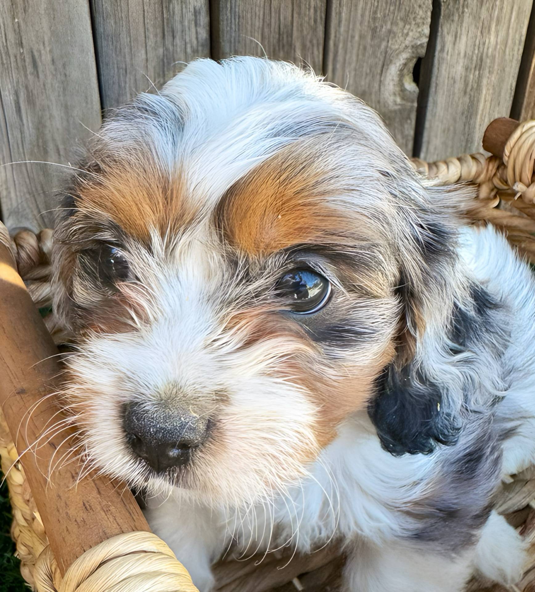 dfaf2acb-ab2e-4dd5-8fcd-0cdcebeb805b/facility/e32029b0-6ffb-4b66-a109-992af943c315