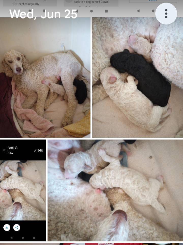 e0e42e4f-427e-4528-9a3c-e7da1a3dc59b/facility/07ee760c-b410-4516-9095-9468fca0df11