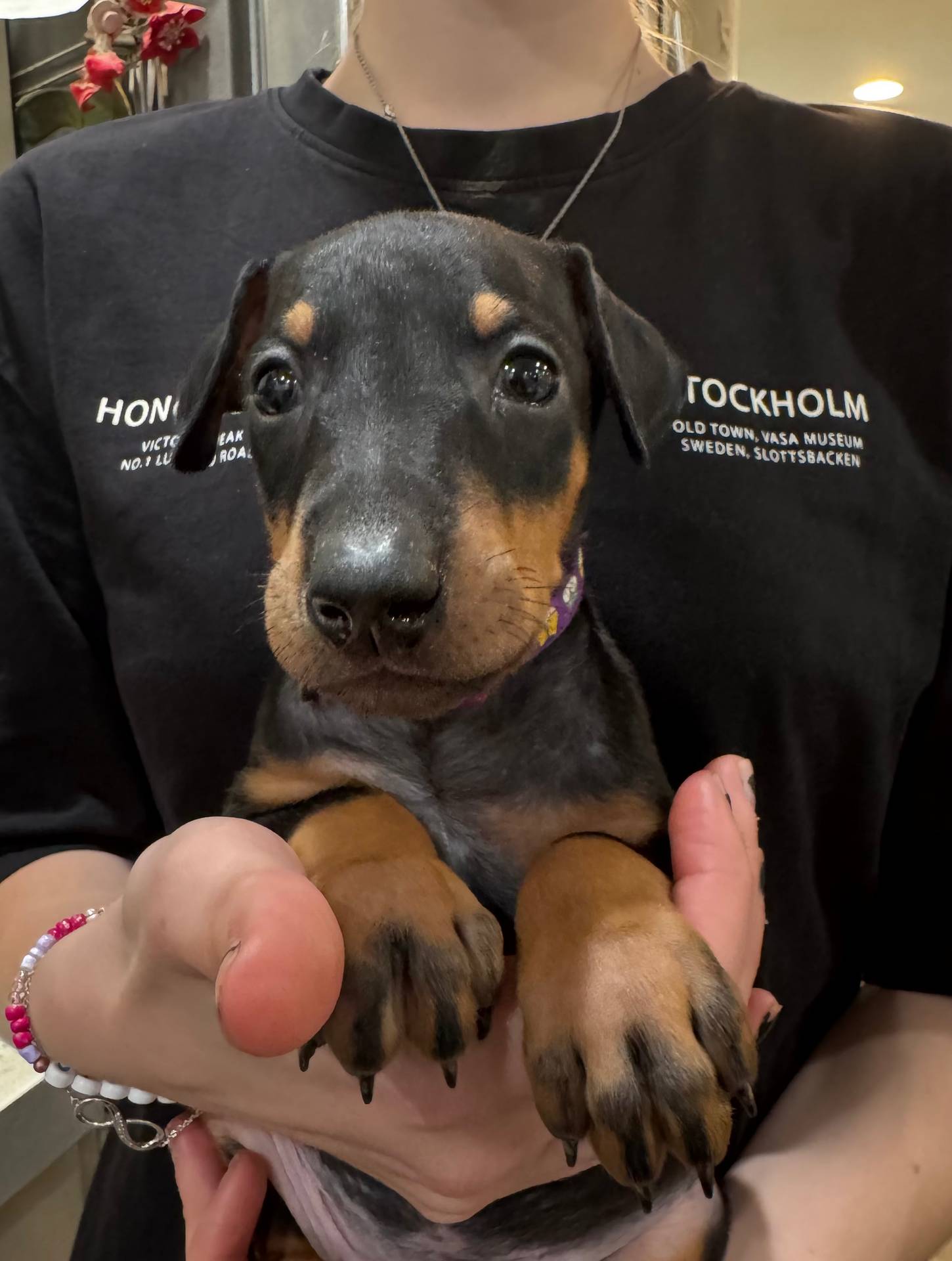 e1bb3543-6a98-4ea7-b2a0-726792b0af48/listing/831ce46c-fb0a-4c72-b59b-d054e50b5741/ddd2bd77-b223-4a4f-8b9f-5aaadf7ab12c