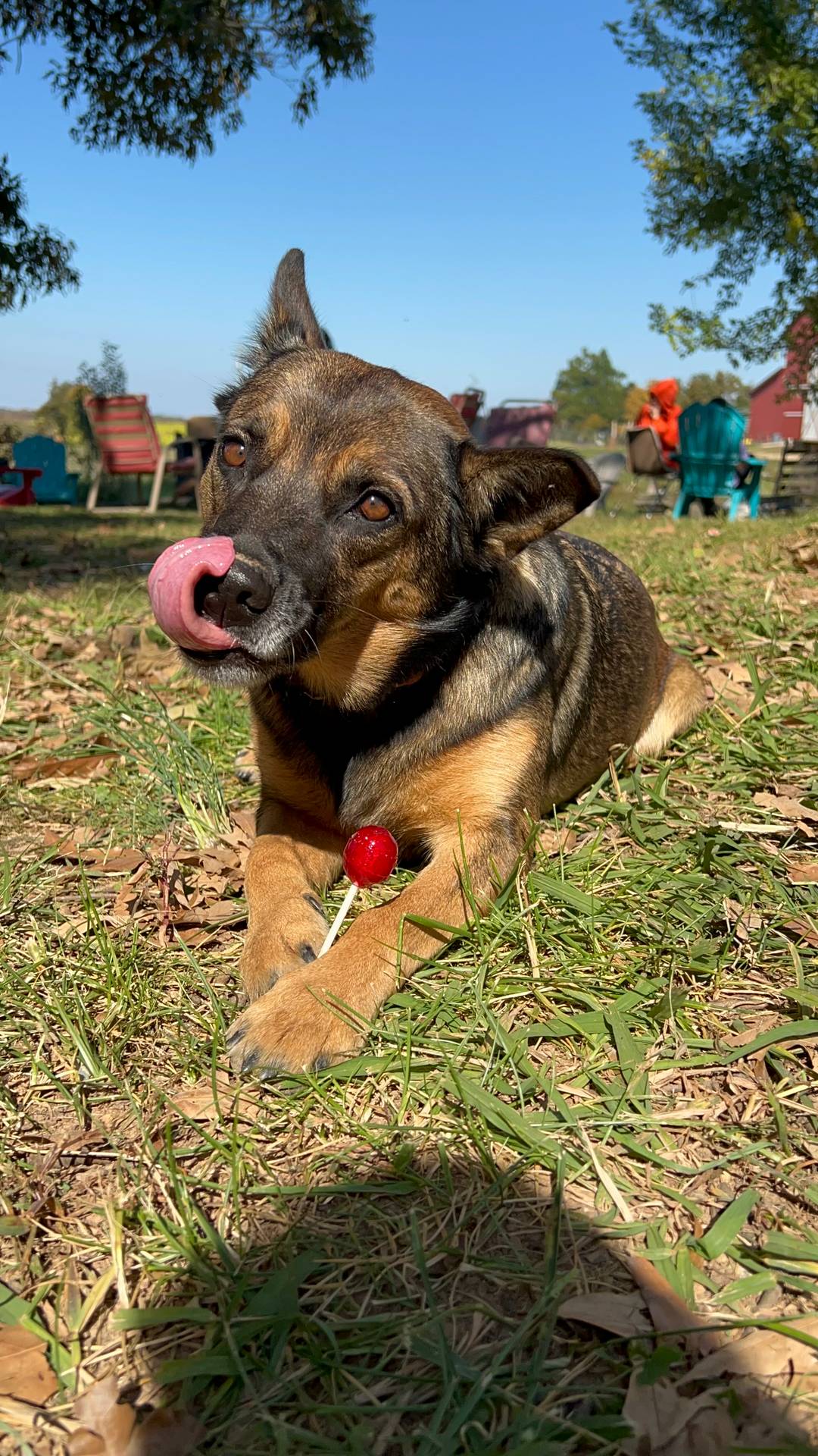 e2c66d54-8930-40c3-b030-9d9e02d31601/listing/7909eb97-3d13-4f2a-b726-96cab6b3a5fc/0f75fb51-50a2-478f-8727-c1b34310ba98