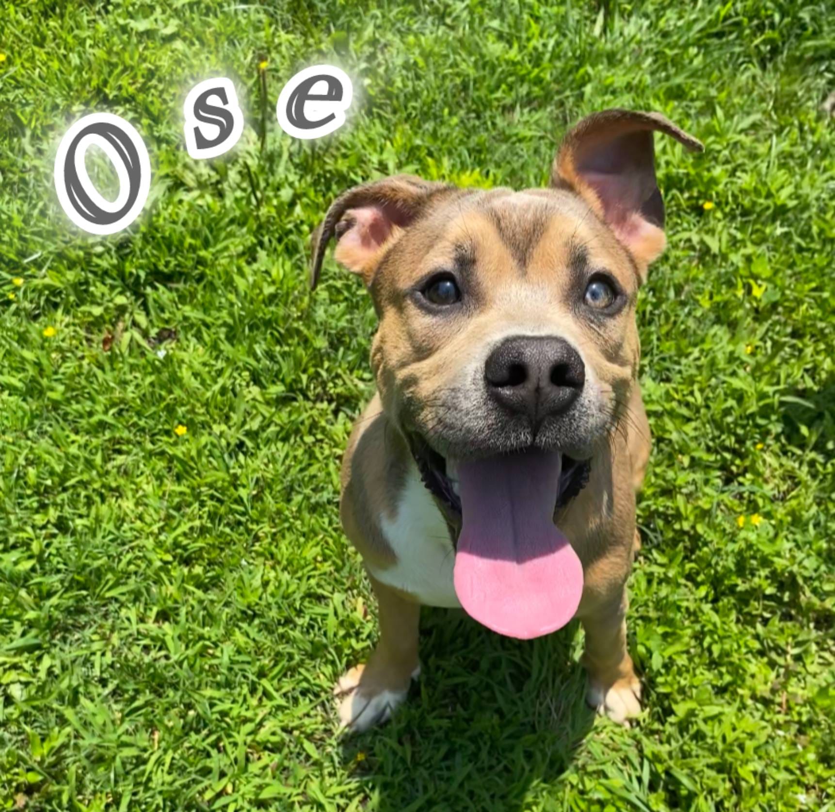 e3b8adf0-31d1-4fb8-a010-51adce21d364/facility/0b0287ae-a56a-434e-a359-e0b5631a8816