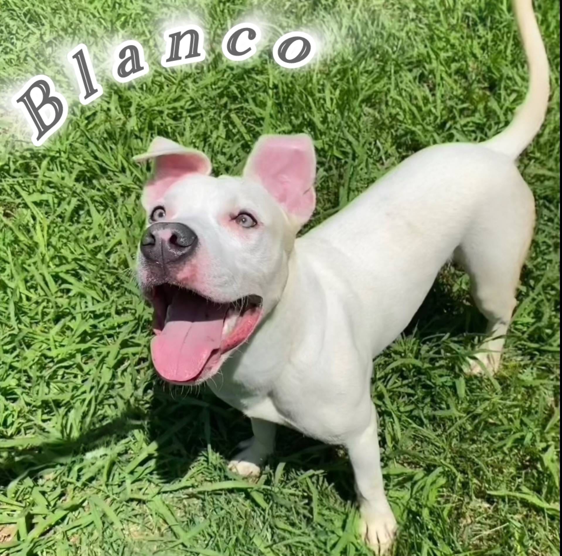 e3b8adf0-31d1-4fb8-a010-51adce21d364/facility/617de76a-54a4-44cf-a2ba-35a42cd4280c