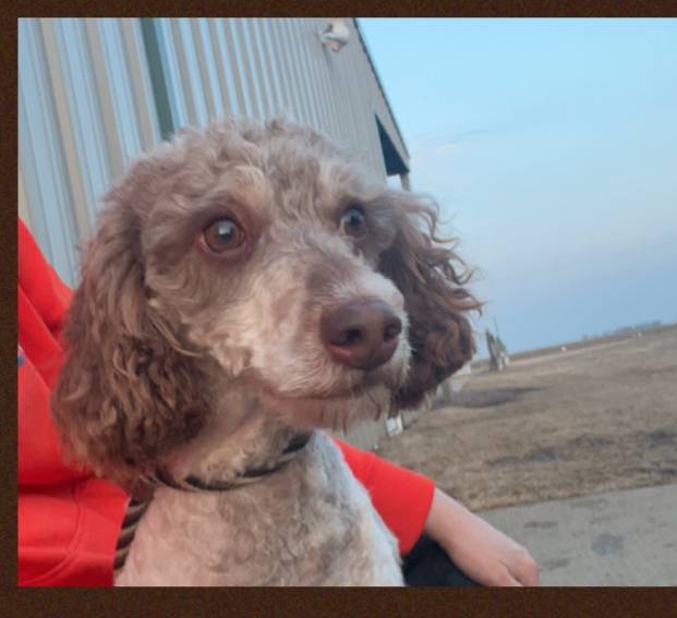 e761d28c-c2c8-45d4-8021-536fd0efb21f/listing/d4d29009-9a21-4bdd-a1cf-c1f457571644/13ba5cf3-2e64-4ee3-a113-0433755656ce