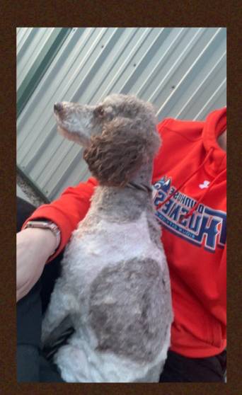 e761d28c-c2c8-45d4-8021-536fd0efb21f/listing/d4d29009-9a21-4bdd-a1cf-c1f457571644/40a3ed0a-c9f1-4c4c-9abe-f9b811e7b893