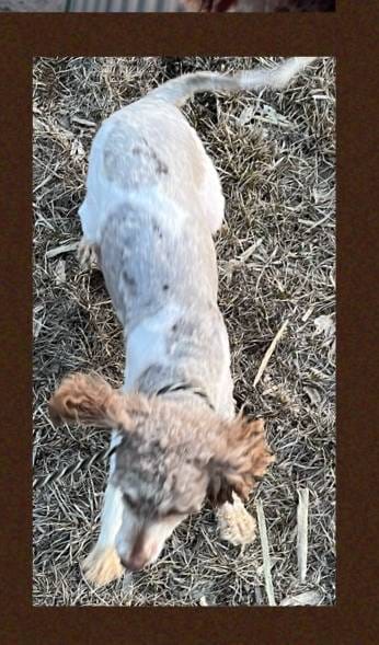 e761d28c-c2c8-45d4-8021-536fd0efb21f/listing/d4d29009-9a21-4bdd-a1cf-c1f457571644/82f6ba95-6ae6-4ca7-b0ac-00a4d911546a