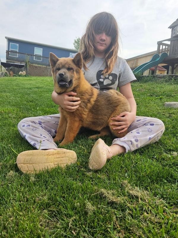 Red smooth Male Kari