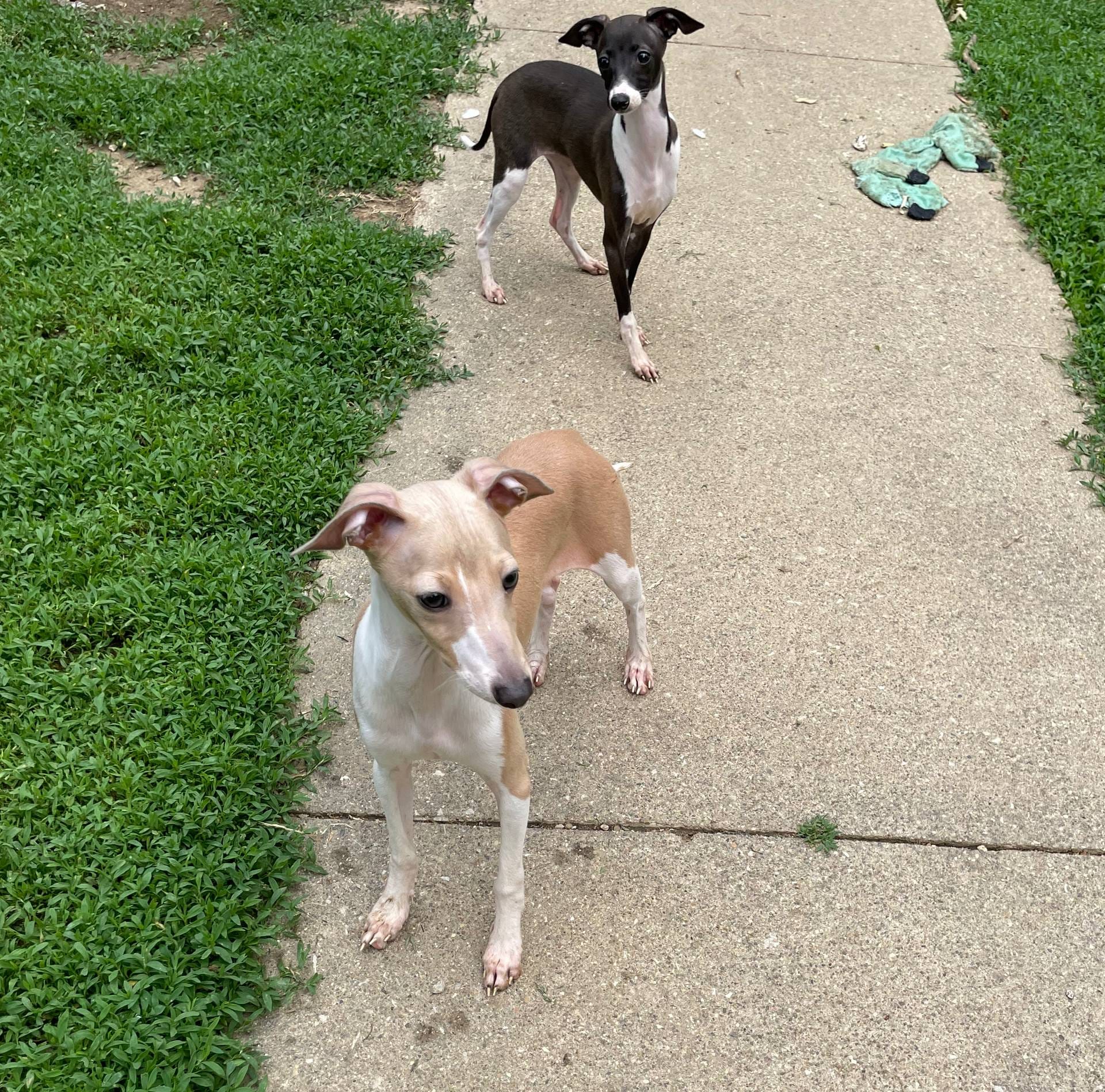 eb2a47aa-0f67-45a3-a67a-3a3b9020700a/listing/20dfdd0e-eb16-4f7a-bb2c-f6489b3f2219/ebf617a8-2fc9-4cbe-bfcb-e1a375cff151