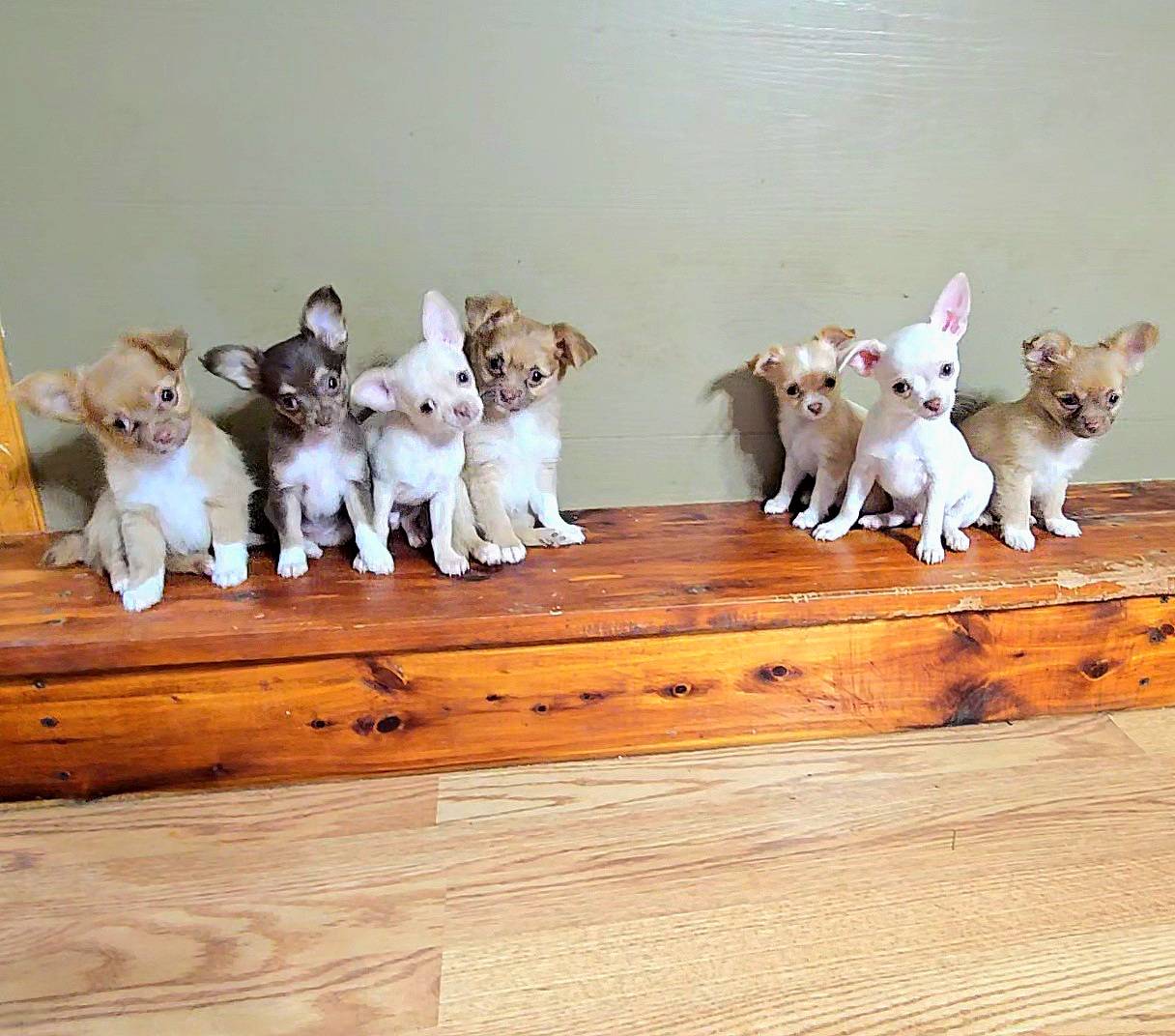 ed561737-5327-47c7-ab59-8d0b22bc9678/facility/916028f9-06e1-46e5-9033-f066215337ec