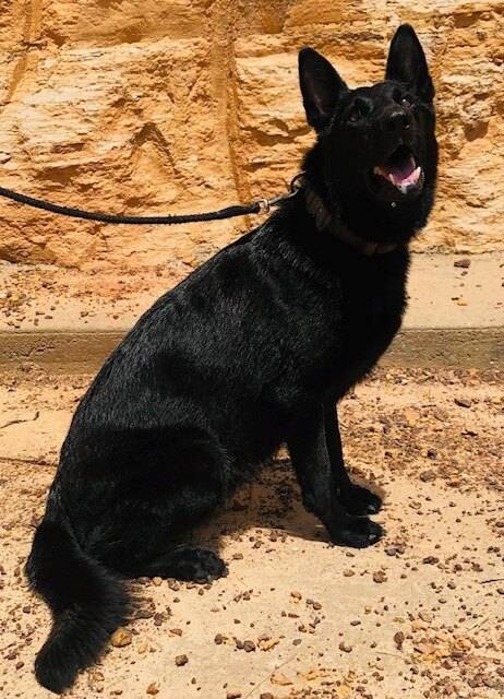 ef21e5e5-af9e-4c6a-a536-1022899059dc/facility/2a786a8d-0440-4fd7-b367-10b2c317d14f